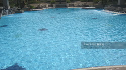 Bishan Loft (D20), Condominium #213030231